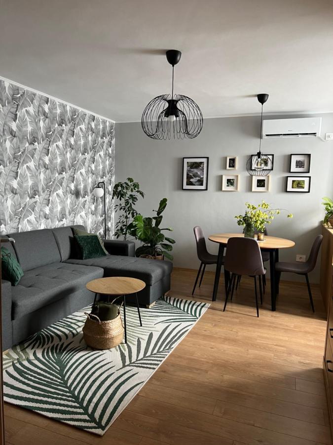 Riverside Jungle Green Apartment Nagyvárad Kültér fotó