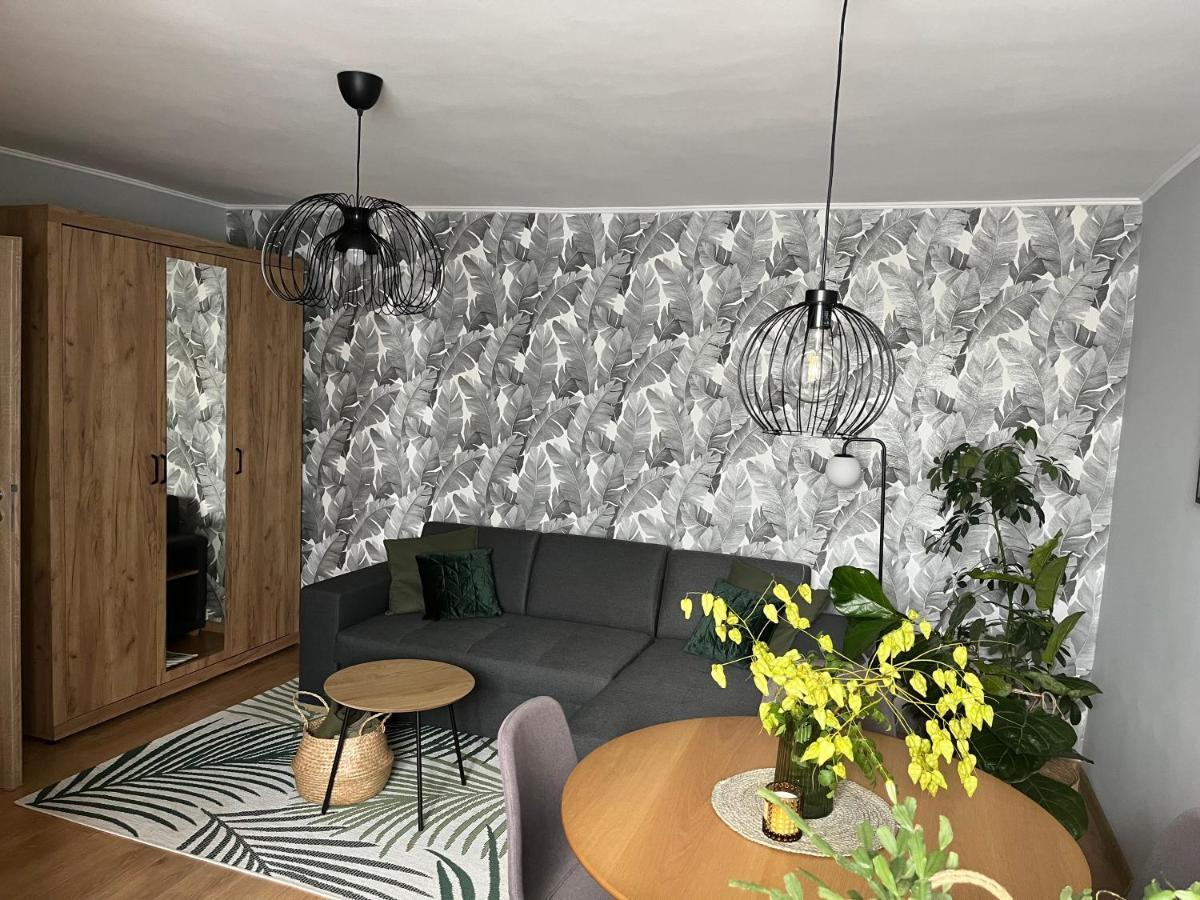 Riverside Jungle Green Apartment Nagyvárad Kültér fotó